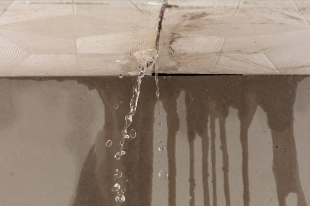 Professional Sewage Cleanup technician working in Balsam Grove, NC